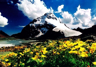 新疆旅游天池一日游牌子好不好 哪款好评价